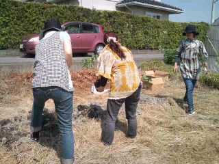 苗植え