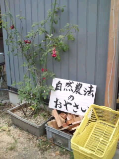 野菜市&ボノロンvillage