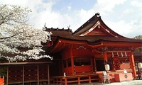 箱根 奥宮 2010/04/05 12:52:00