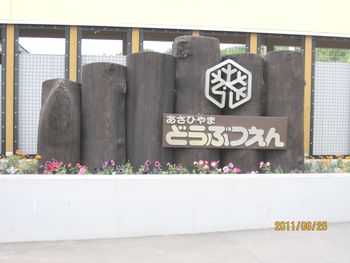 旭山動物園