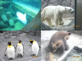 旭山動物園