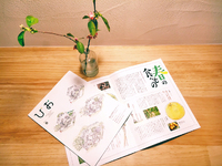 びお2016春　プレゼント