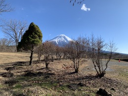 雪化粧