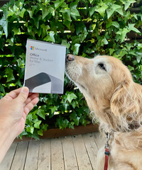 Mac版MicrosoftOffice2016はさすがに2021乗り換え 2022/04/26 15:45:00
