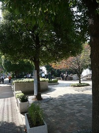 ■ 建築物総合環境性能評価システム ■ CASBEE すまい［戸建］■