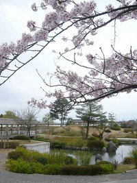 ■島田市「金谷エリア」を ウォーキング■ ｢お茶の郷」の日本庭園■