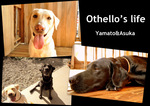 Othello　～オセロ～