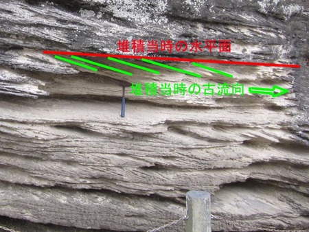 弁天島の斜交層理と生痕化石（下田市柿崎）