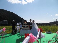 本日、菜の花結婚式が行われました。