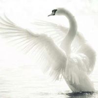 『(祝)!!新成人の皆さまへ★Beauty sky★』