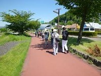 カラダのこと