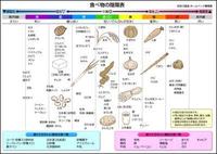 カラダとココロを元気にする料理を覚えませんか