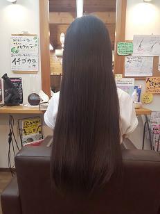 島田市宝来町 育児中ｵｰﾅｰが営む 老けたくない 大人女性のための 1 1美容室 ﾍｱｰカンパニュラのブログ 256人目のヘアドナーさん