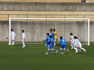 静岡県ヤングサッカーフェスティバル