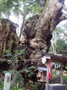 来宮神社