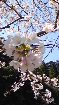 今日も