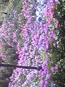 声かけてくれた