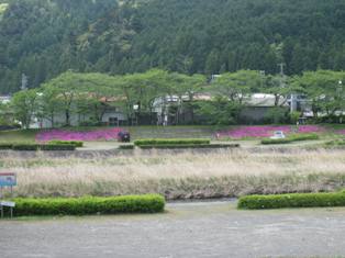 河川敷を彩る！