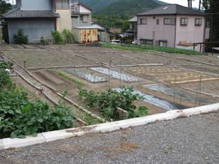 仲間の実践に学ぼう！