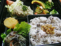 今日のランチ