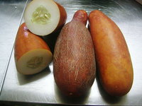 赤毛瓜