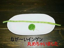 今日のランチ