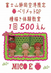 Chimicrew　クルクル　種描き描き♪