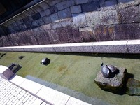 日向ぼっこ