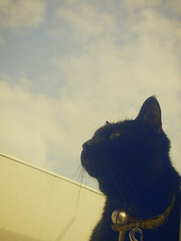 俺の空