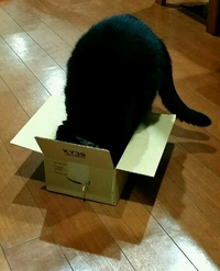 まさに
