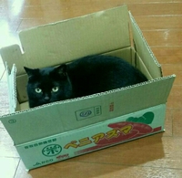 じみアズマ