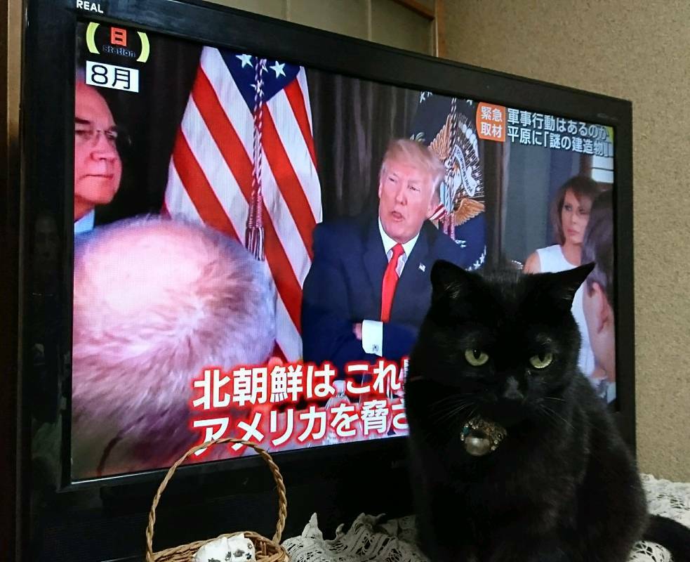 じみーwith T