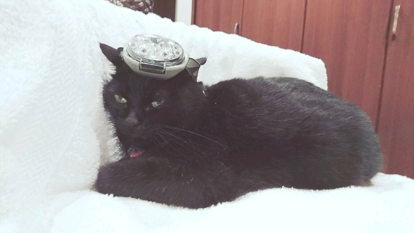 俺の仕事
