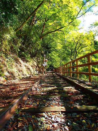 そうだ、井川へ行こう!!　奥大井は奥が深い!!