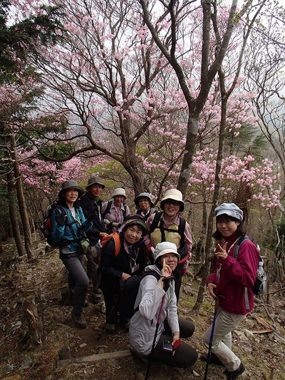 【募集終了】 4/23（日）「自然満喫トレッキングツアー　大札山・アカヤシオの森を歩く」