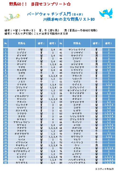 【募集終了】 1/21（土）～22（日）　「野鳥でGO‼　バードウォッチング入門（全４回）　第１回　冬鳥編」