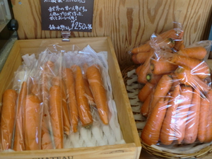 野菜ジュースに使える無農薬人参入荷しました