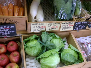 今朝採り野菜入荷です