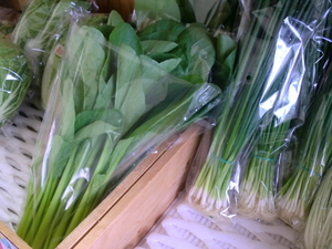 今朝採り野菜入荷です