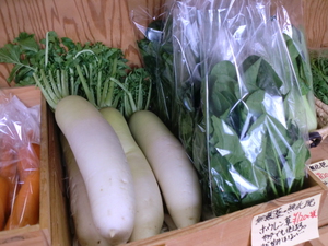 14日も新鮮な朝採り野菜入荷しますよ