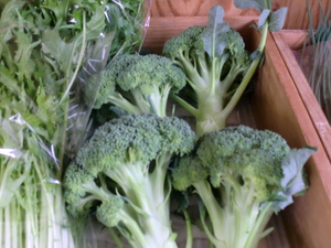 年末野菜の入荷開始です！