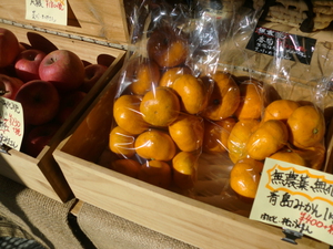 不足していた種類の野菜が増えてきました