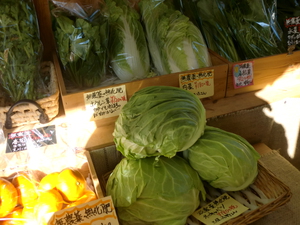 不足していた種類の野菜が増えてきました