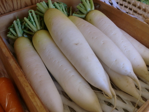 不足していた種類の野菜が増えてきました