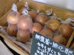 10日はりんご＆朝採り野菜