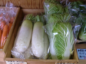 甘み増してる白菜＆大根入荷中