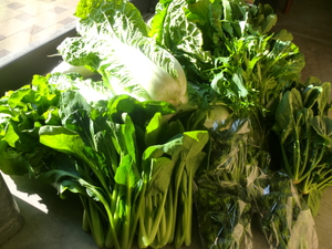 フレッシュ採れたて野菜入荷しますよ