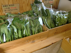 地元の安心新鮮野菜