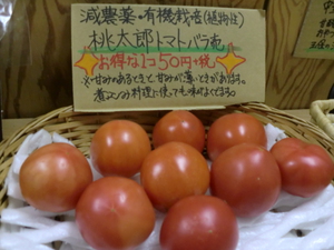 フレッシュトマトを使ってトマトクリームスパ
