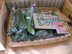 新鮮野菜入荷しました　おすすめは